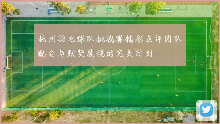 杭州羽毛球队挑战赛精彩点评团队配合与默契展现的完美时刻