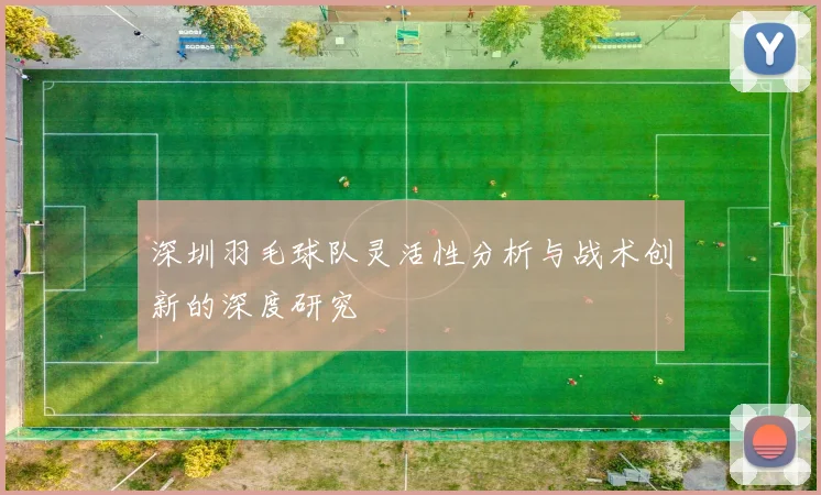深圳羽毛球队灵活性分析与战术创新的深度研究
